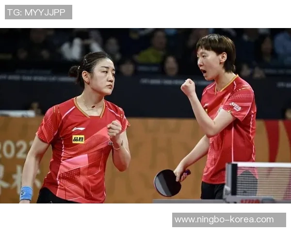 南京排球队战术表现深度解析与大满贯点评