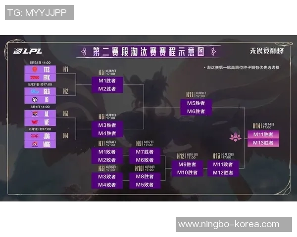 赛后分析:FPX与TES对决中的战术布局与执行细节探讨