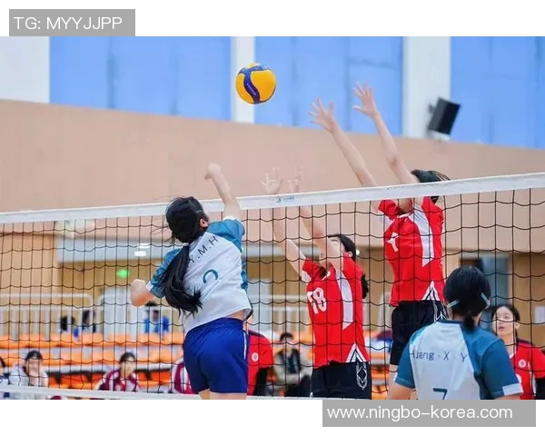 赛后分析:西安排球队与重庆排球队的战术意识与表现对比